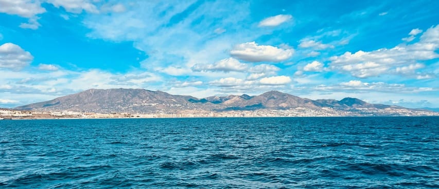 Avistamiento de delfines en Fuengirola Foto galería 3
