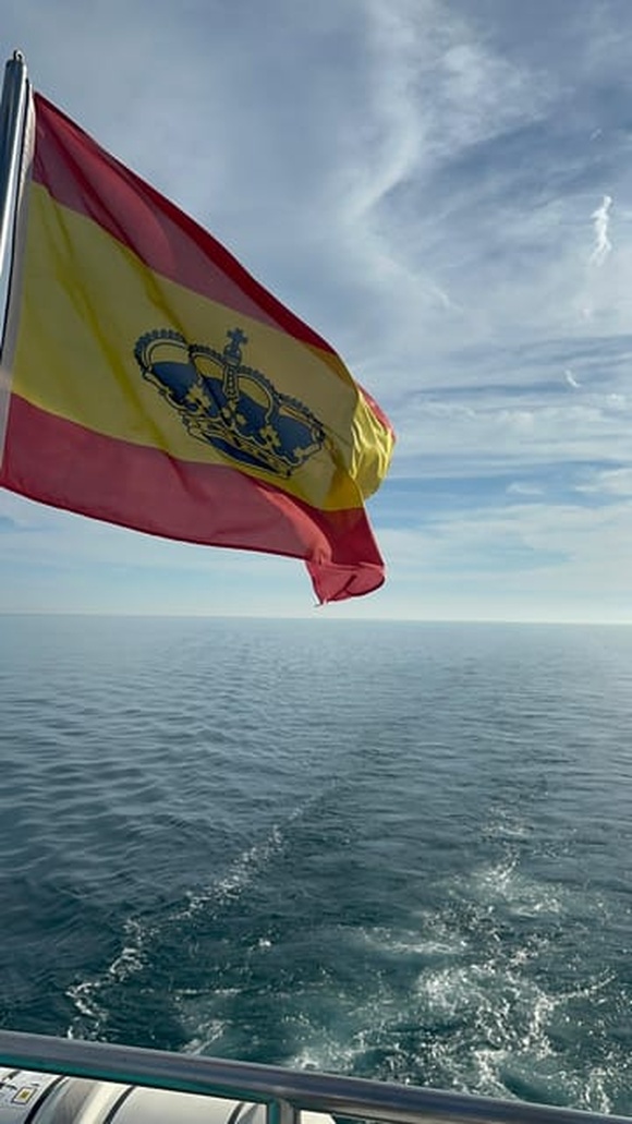 Avistamiento de delfines en Fuengirola Foto galería 4