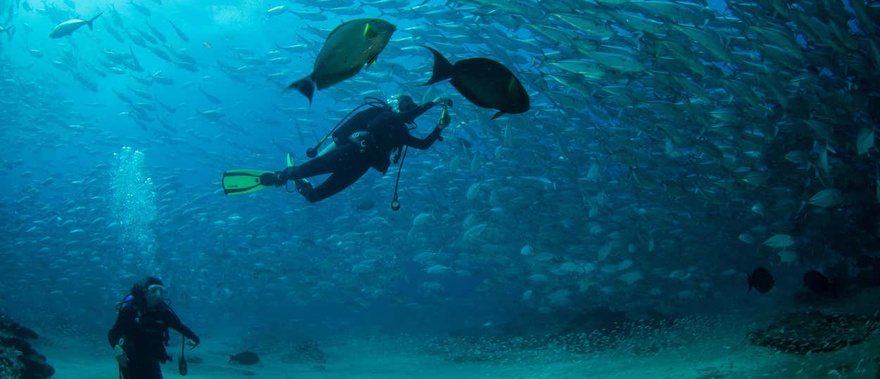 Bautismo de buceo en Las Negras