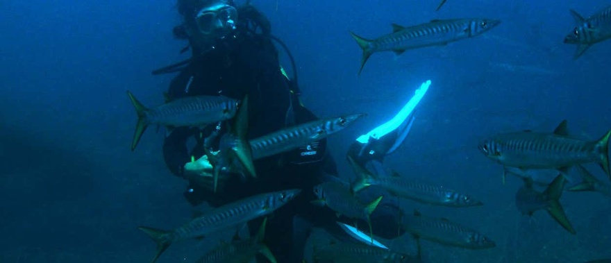 Bautismo de buceo en Las Negras Foto galería 4
