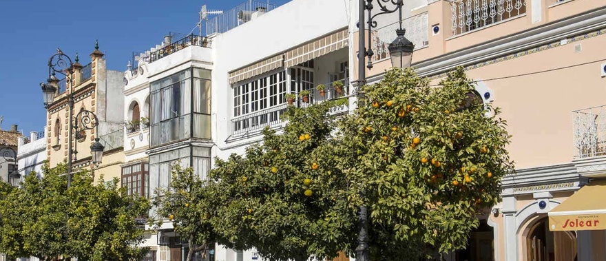 Tour privado por Sanlúcar de Barrameda Foto galería 2