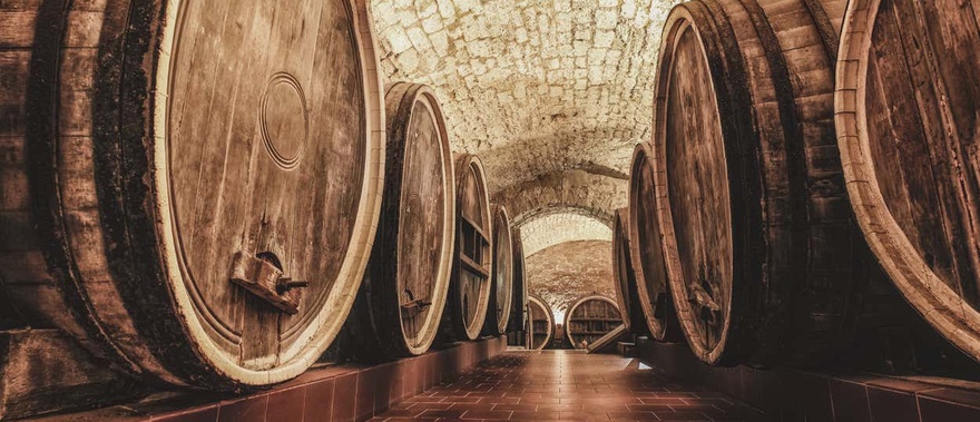 Visita a la bodega Pérez Barquero Foto galería 1