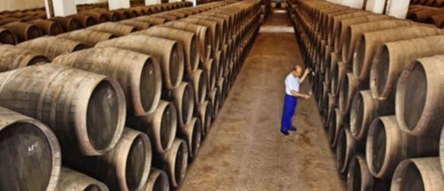 Visita a la bodega Pérez Barquero Foto galería 4