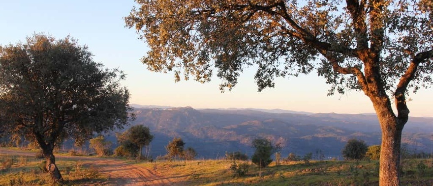 Tour en 4x4 por la Sierra de Andújar
