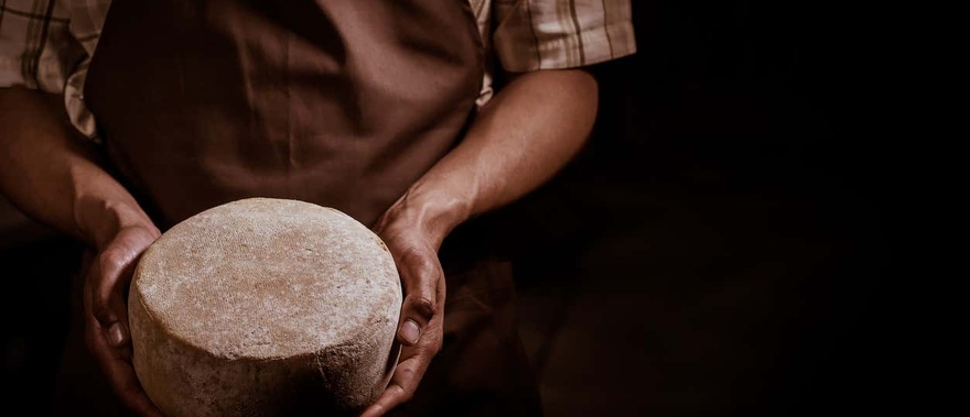 Visita a una quesería + Taller de queso de cabra Foto galería 1