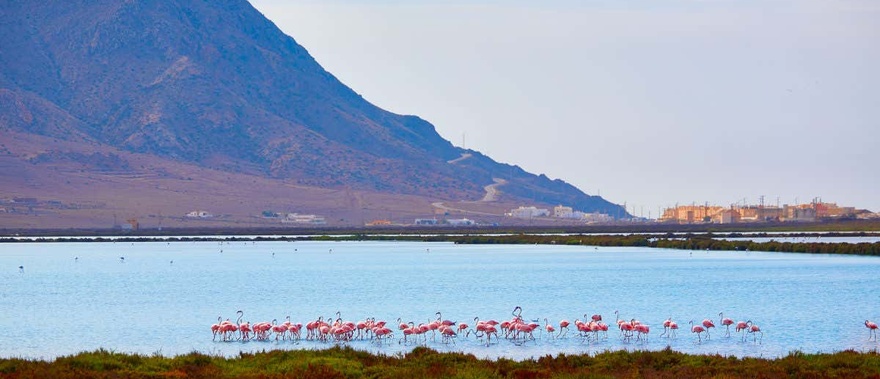 Excursión a Cabo de Gata y Mojácar en 1 día Foto galería 1