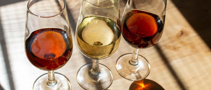 Visita a las bodegas Toro Albalá