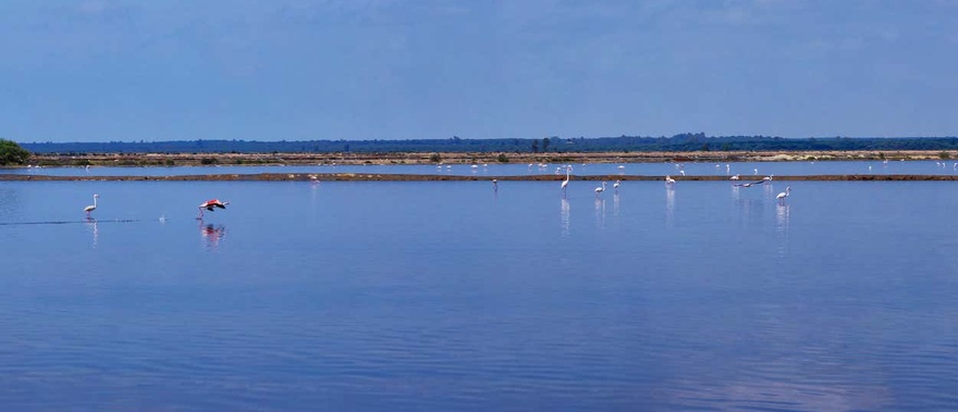 Paseo en barco al Muelle de las Carabelas desde el Rompido Foto galería 1