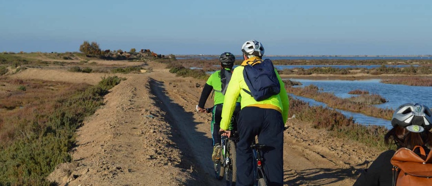 Tour en bicicleta por las marismas del Odiel