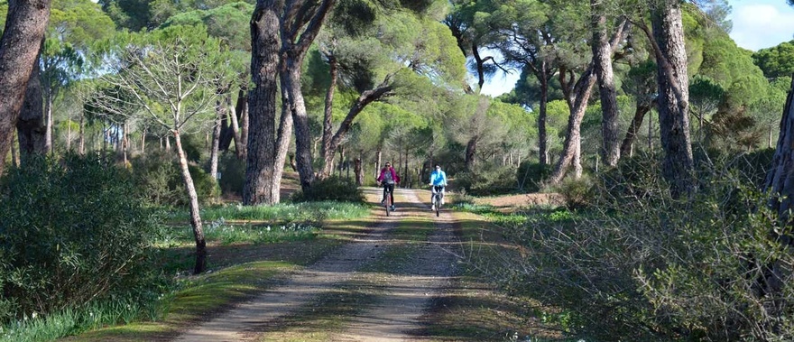 Tour en bicicleta por las marismas del Odiel Foto galería 1