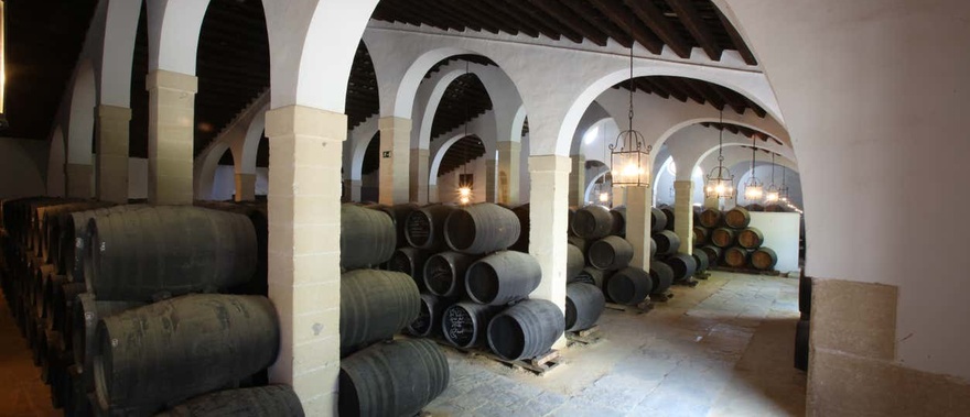 Visita a las bodegas Tío Pepe Foto galería 1
