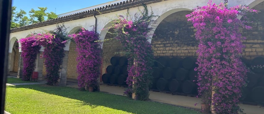 Visita a las bodegas Tío Pepe Foto galería 3