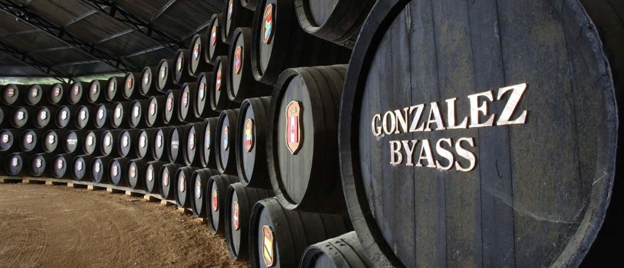 Visita a las bodegas Tío Pepe