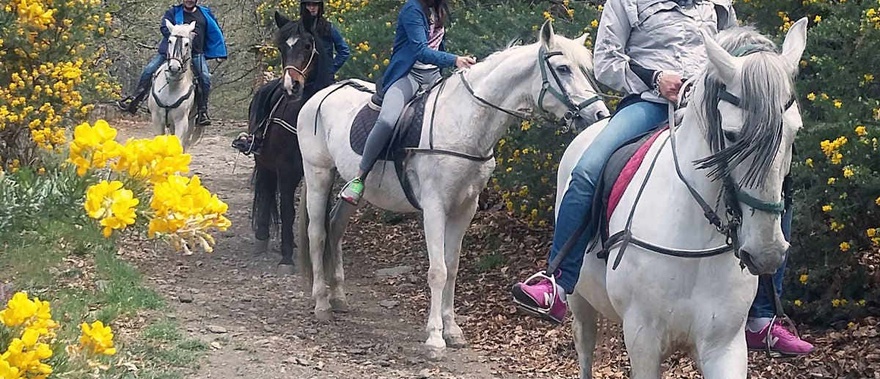 Paseo a caballo por la Alpujarra