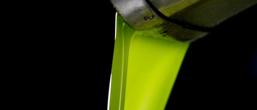 Visita a una almazara Oleícola Jaén con cata de aceites Foto galería 3