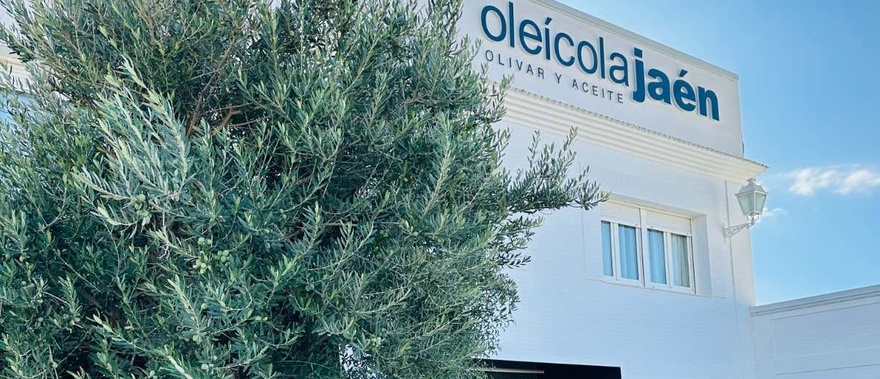 Visita a una almazara Oleícola Jaén con cata de aceites Foto galería 4