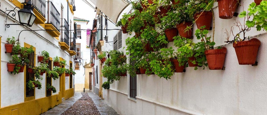 Tour de Córdoba al completo con entradas
