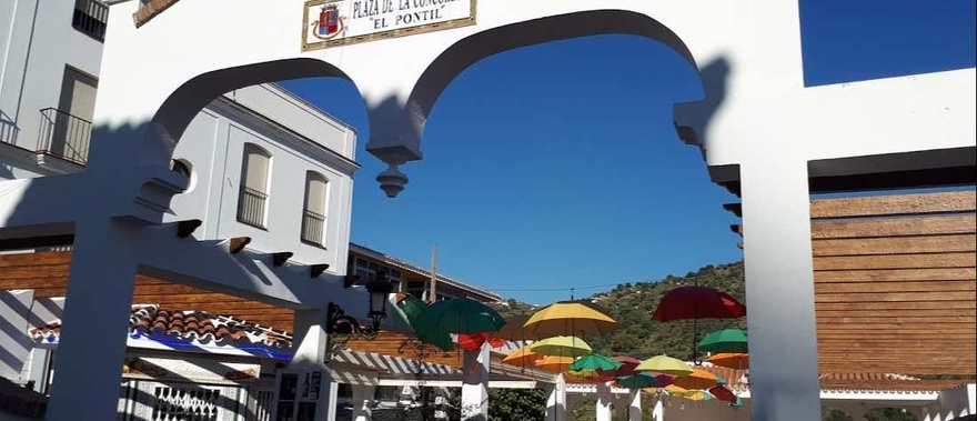 Visite d'un moulin à huile d'olive avec dégustation d'huile Photo de galerie 2