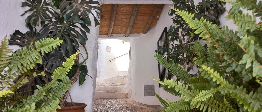 Excursión a Nerja, Frigiliana y El Acebuchal desde Málaga Foto galería 1