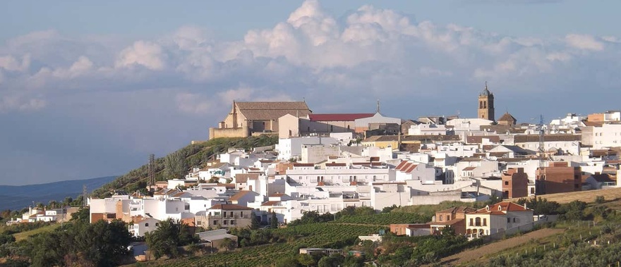 Visita guiada por Montilla Foto galería 1