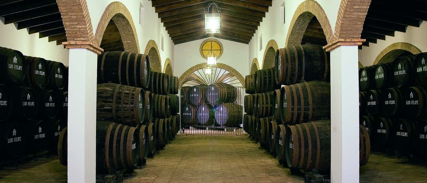 Visita a las bodegas Rubio de Luis Felipe