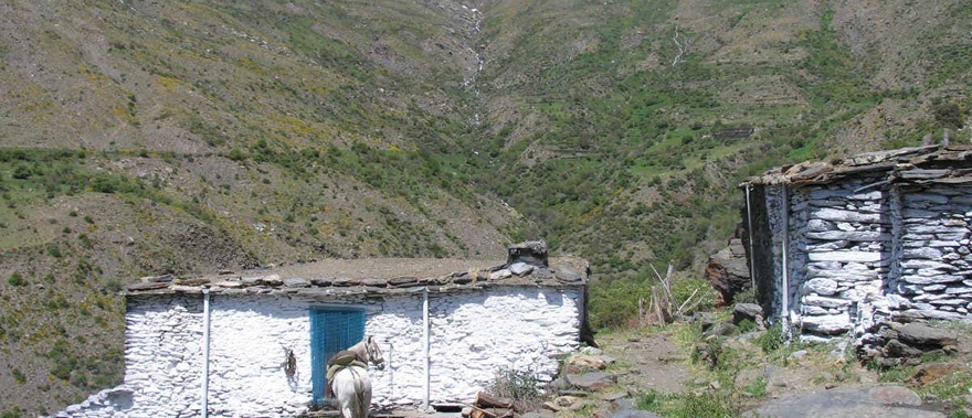 Senderismo por el Parque Nacional de Sierra Nevada Foto galería 3