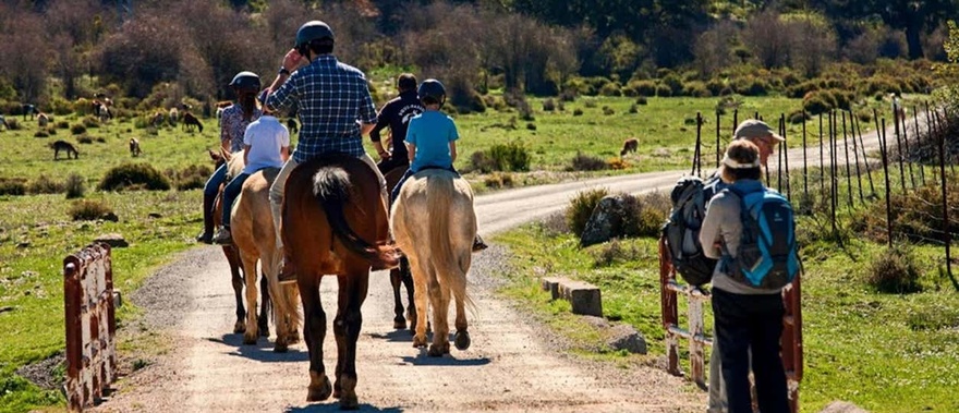 Paseo a caballo por la Sierra de Grazalema