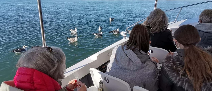 Paseo en barco por las marismas de Isla Cristina y Punta del Moral Foto galería 3