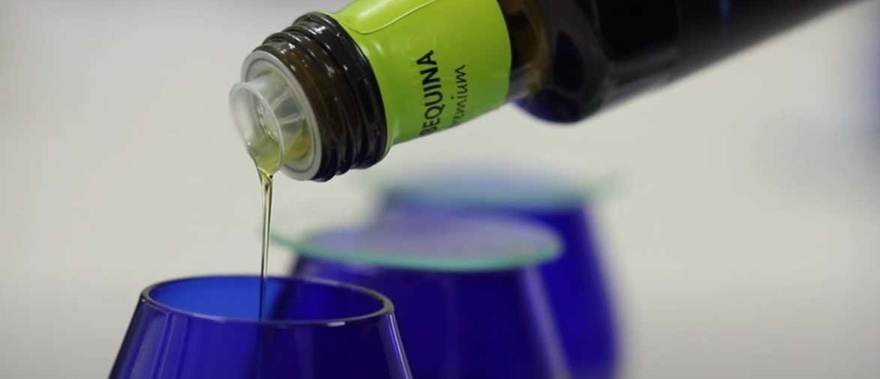 Visita a la finca Oleo Almanzora con degustación de aceite Foto galería 4