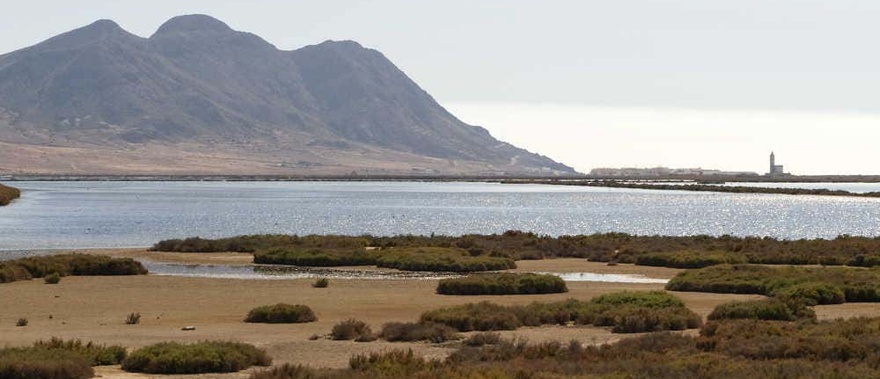 Excursión a Cabo de Gata y Mojácar desde roquetas de mar Foto galería 2