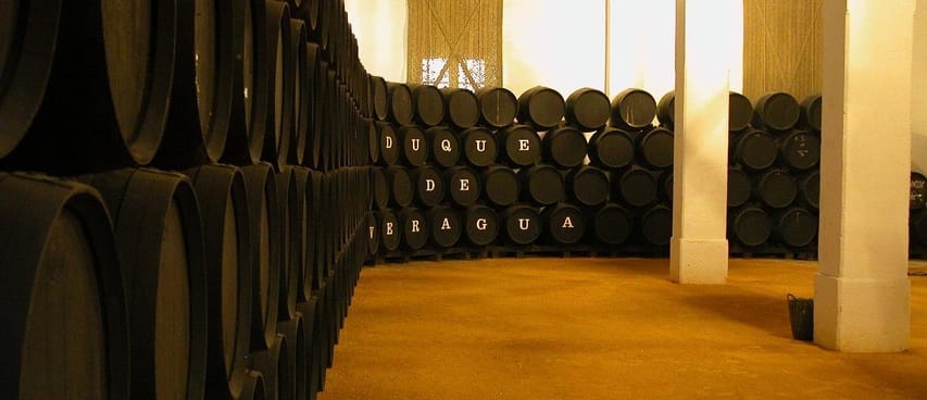 Visita a las Bodegas Álvaro Domecq