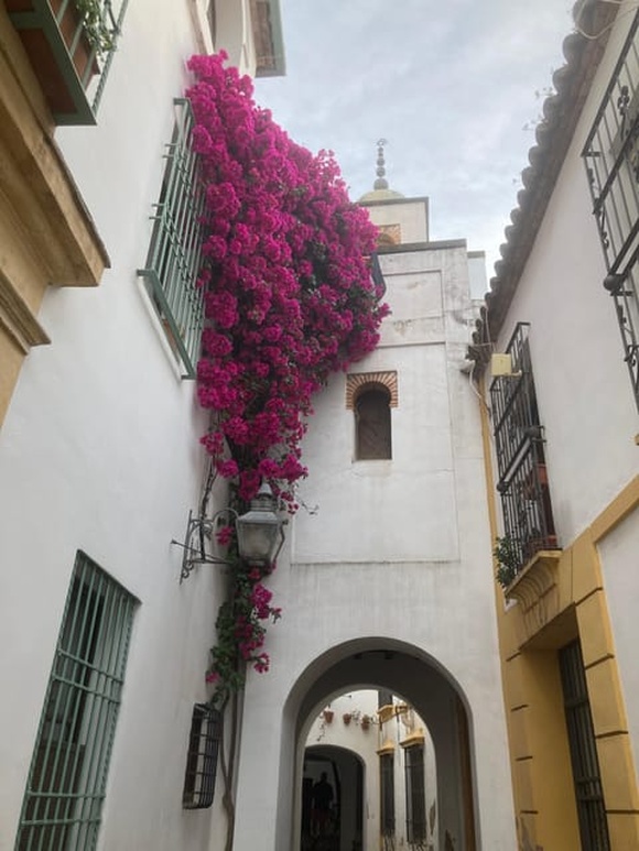 Paseo guiado por Córdoba al anochecer Foto galería 4