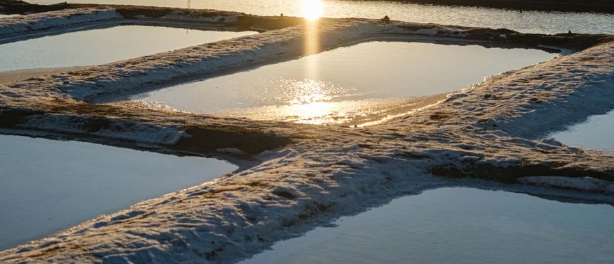 Visita guiada por las salinas del Alemán Foto galería 3