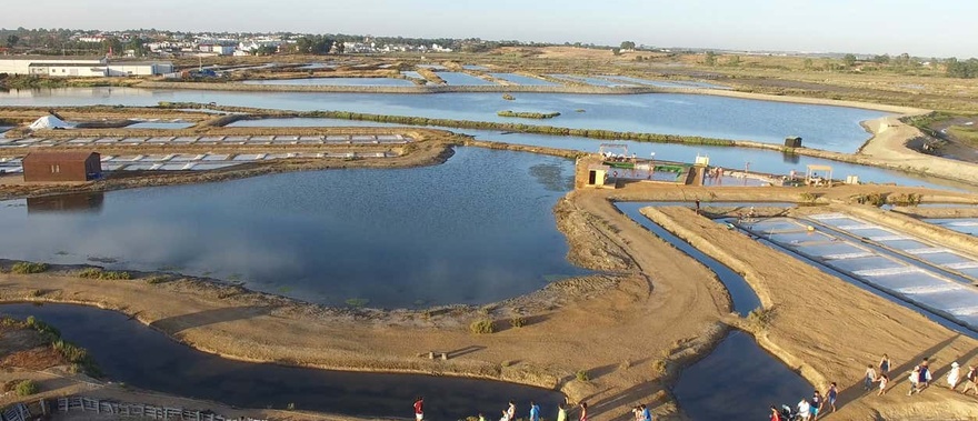 Visita guiada por las salinas del Alemán Foto galería 4