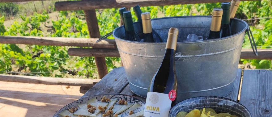 Tour del vino por Manilva