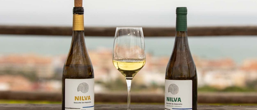 Tour del vino por Manilva Foto galería 3