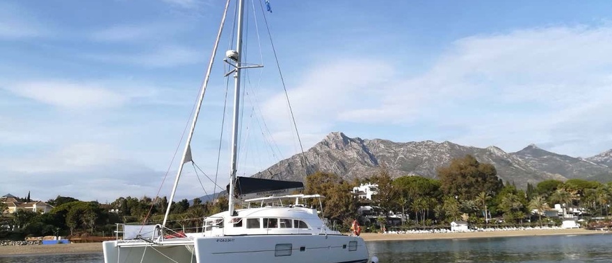 Paseo en catamarán con avistamiento de delfines Foto galería 1