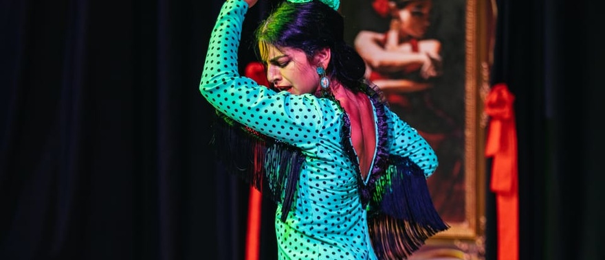 Espectáculo flamenco en La Alboreá en Granada Foto galería 1