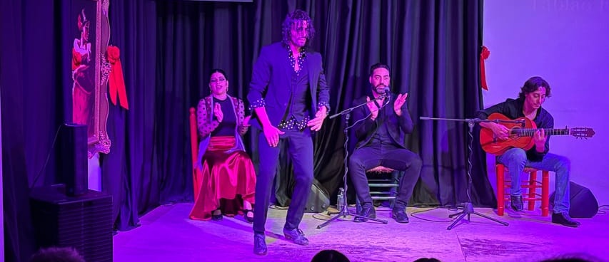 Espectáculo flamenco en La Alboreá en Granada Foto galería 3