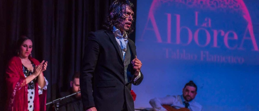 Espectáculo flamenco en La Alboreá en Granada