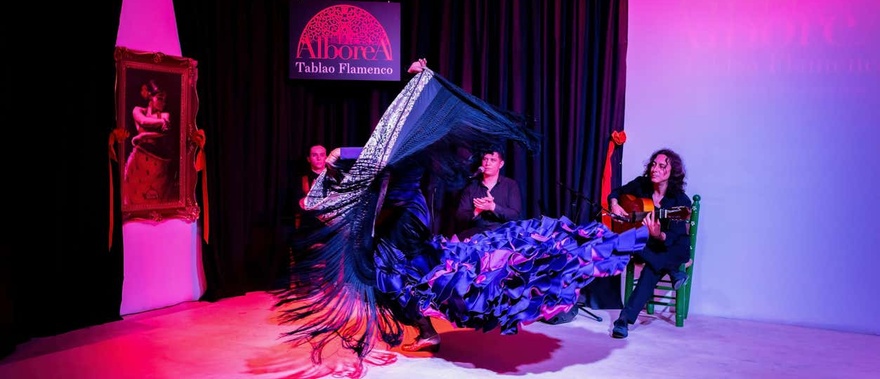 Espectáculo flamenco en La Alboreá en Granada Foto galería 4