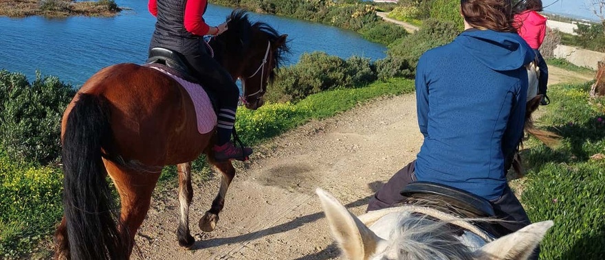 Paseo a caballo por las marismas del Coto de la Isleta