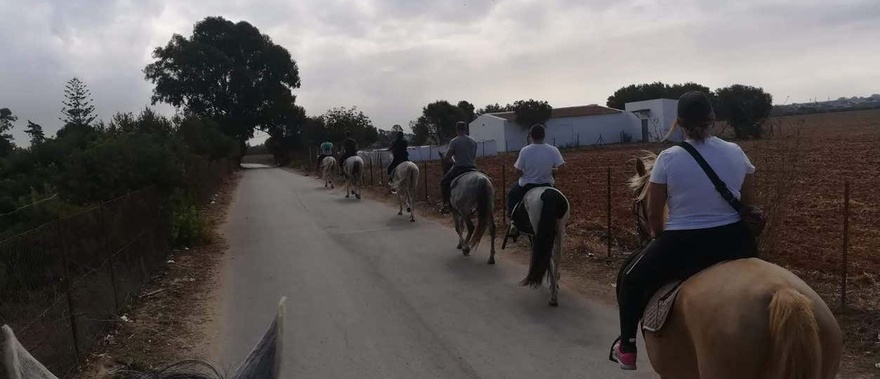 Paseo a caballo por las marismas del Coto de la Isleta Foto galería 1