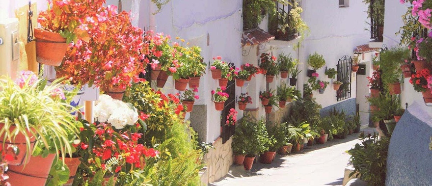 Excursión a Canillas de Aceituno y El Saltillo