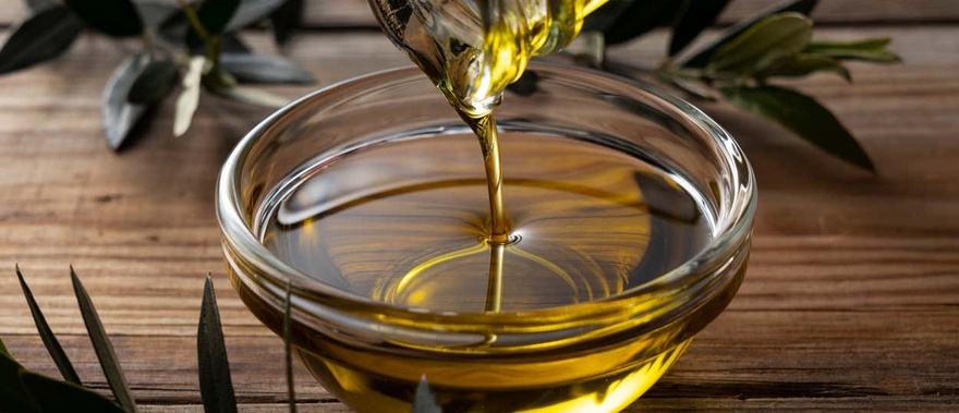 Cata de aceites de Jaén en Baeza
