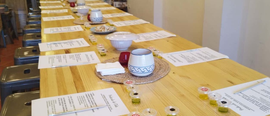 Cata de aceites de Jaén en Baeza Foto galería 4