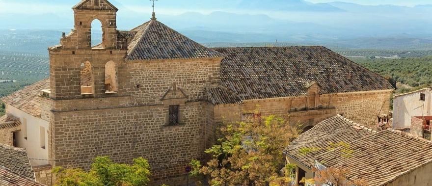 Visita a un olivar + Cata de aceite Foto galería 4