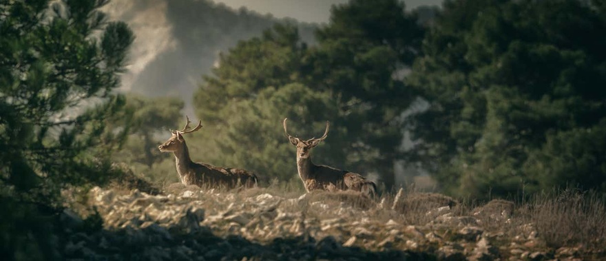 Tour por el Parque de las Sierras de Cazorla, Segura y Las Villas Foto galería 3