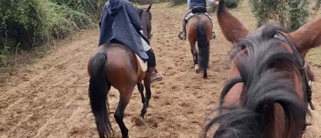 Paseo a caballo por Doñana desde Villamanrique de la Condesa Foto galería 1