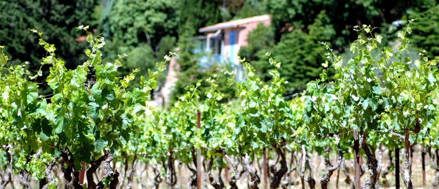 Excursión a las bodegas Salado Foto galería 2